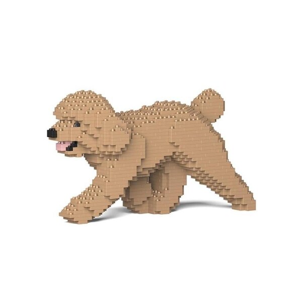 Jekca - Toy Poodle - Small (02S-M03)