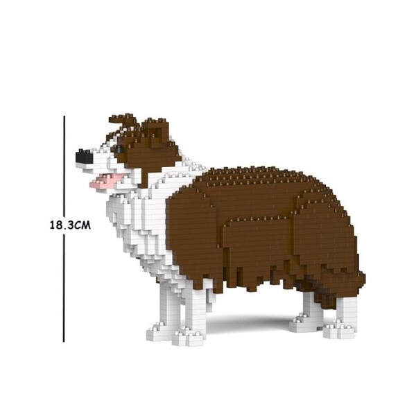 Jekca - Border Collie - Small (01S-M02)