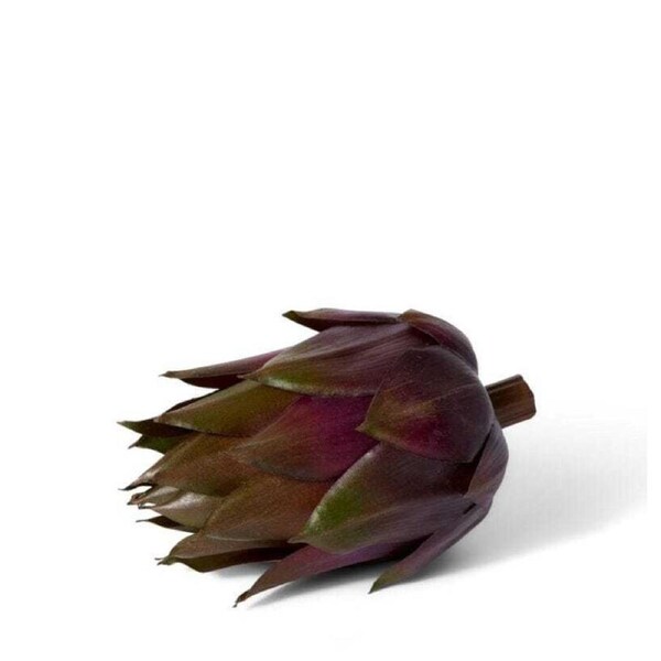 E Style 13cm Plastic Artichoke Fruit Ornament Tabletop Decor Green Brown