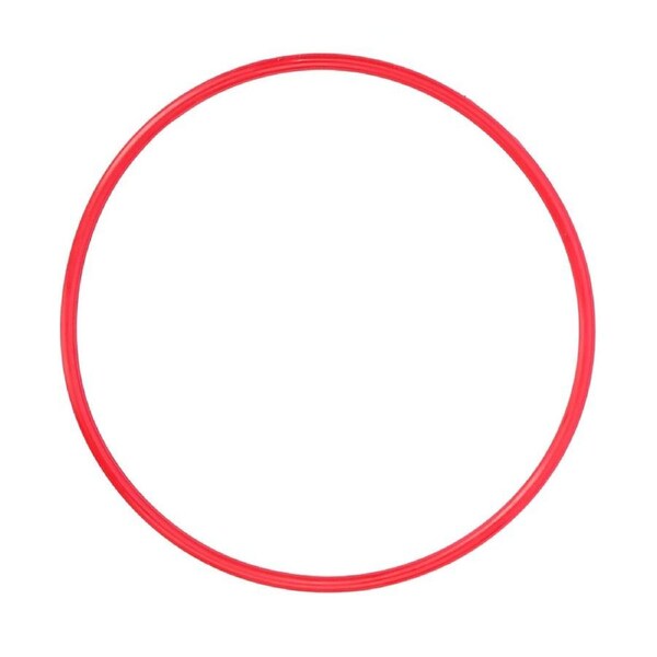 Olympus POL-E301 O-Ring for PPO-EP01 Lens Port