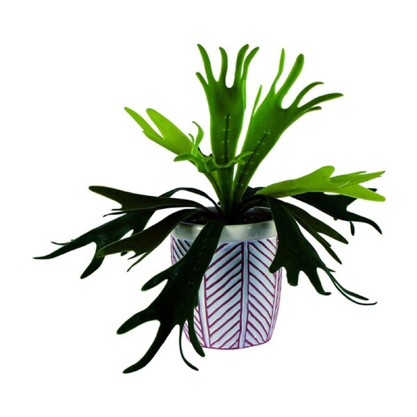 Maine & Crawford Lillian 16x15cm Ceramic Pot Home/Garden Decor w/ Faux Plant