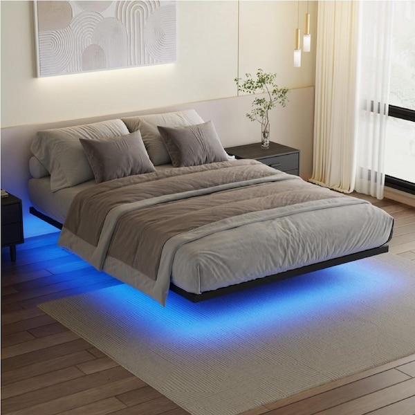 Advwin Floating Bed Frame Queen Size with LED Lights Metal Platform Queen Bed