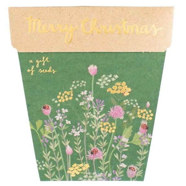 Sow 'n Sow Gift of Seeds Merry Christmas - Parsley Chives and Thyme