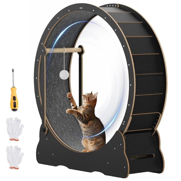 Advwin Cat Exercise Wheel With Teaser Cat Treadmill Cat Running Wheel