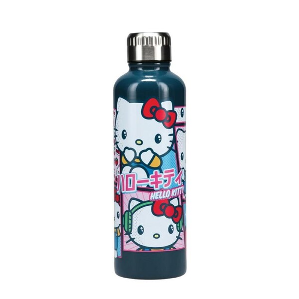 Hello Kitty Stylish Cute Design Durable Insulated Metal Drinking Water Bottle