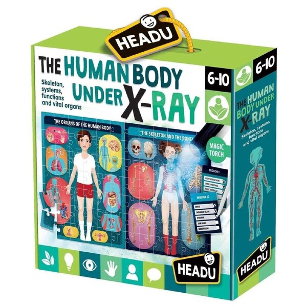 Headu The Human Body Under X-Ray Puzzle Kit for Kids