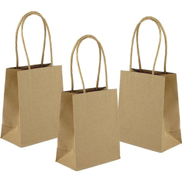 Brown Kraft Paper Gift Bags 13.5cm (Pack of 5)