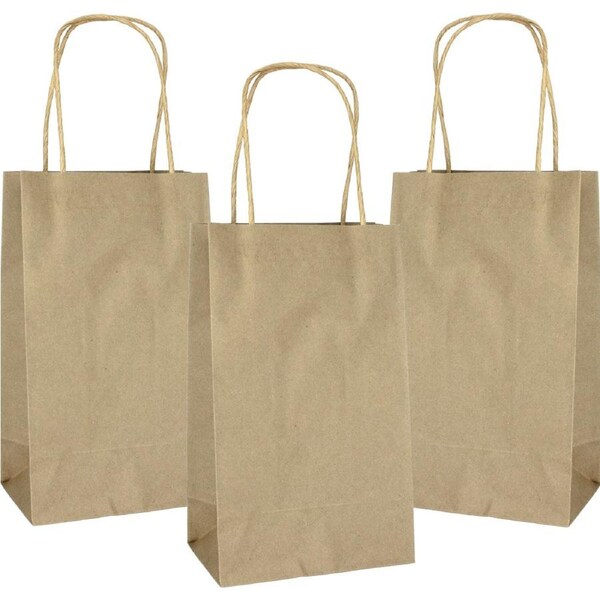 Brown Kraft Paper Gift Bags 21.5cm (Pack of 5)
