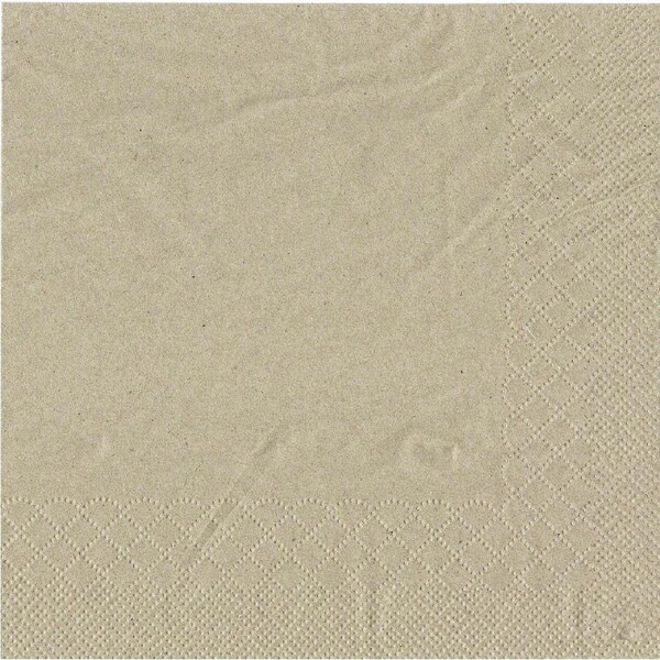 Biodegradable Large Napkins (Bulk Pack of 200)