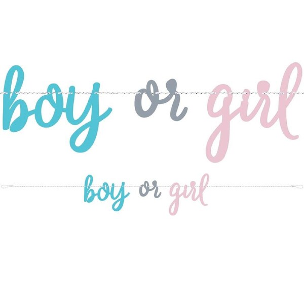 Gender Reveal Party Boy or Girl Letter Banner