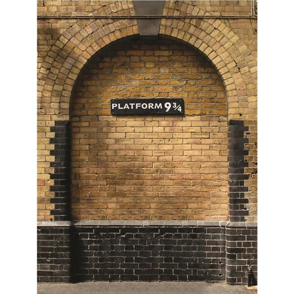 Platform 9 3/4 Fabric Backdrop