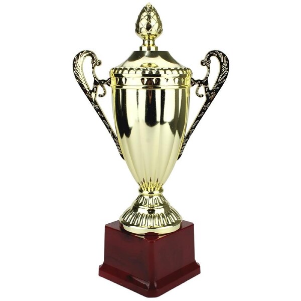 Gold Trophy Cup 28cm