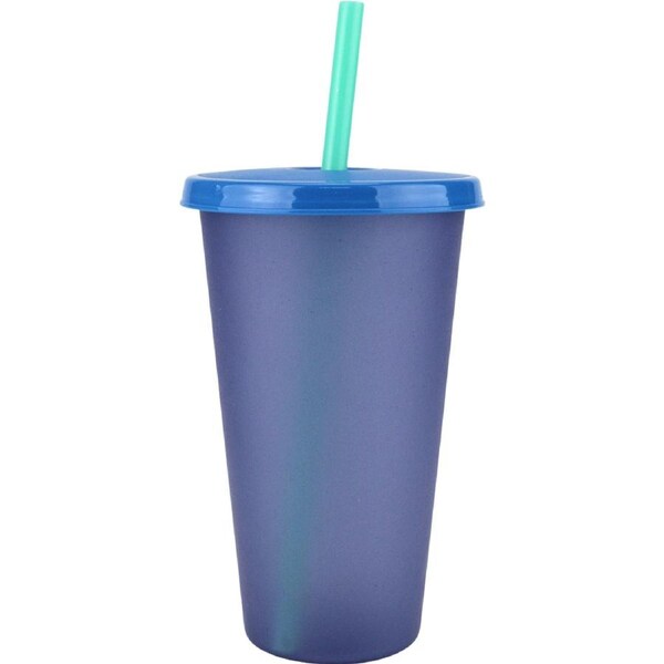 750ml Blue Reusable Plastic Tumbler Cup with Straw
