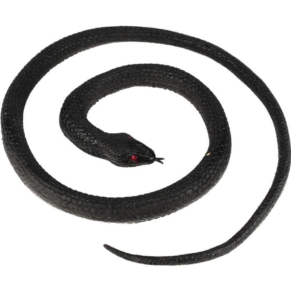 Coiled Black Snake