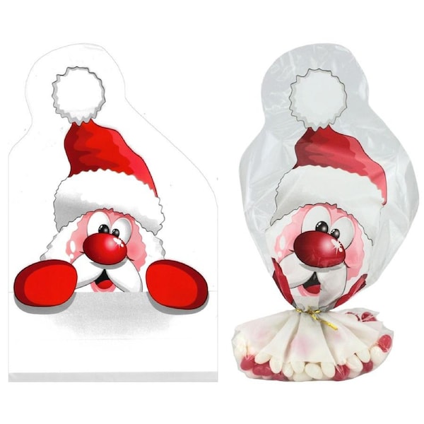 Santa Claus Shaped Treat Bags (Pack of 4)