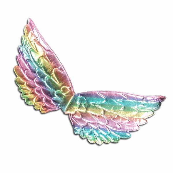 Rainbow Aura Holographic Mini Wings 45cm