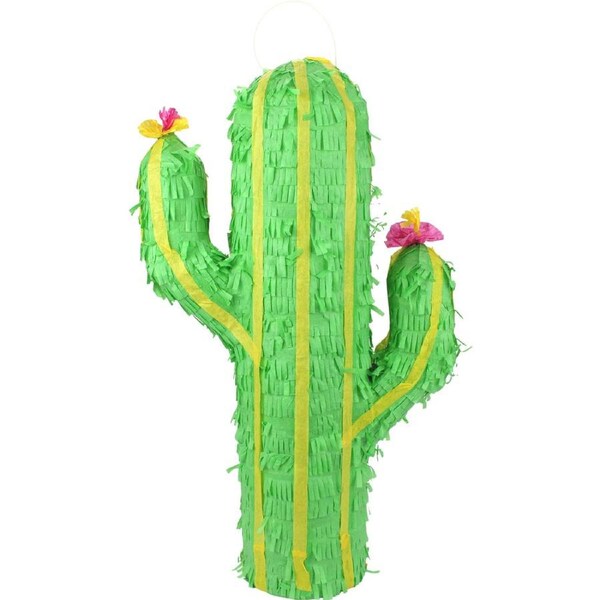 Cactus Pinata 50cm