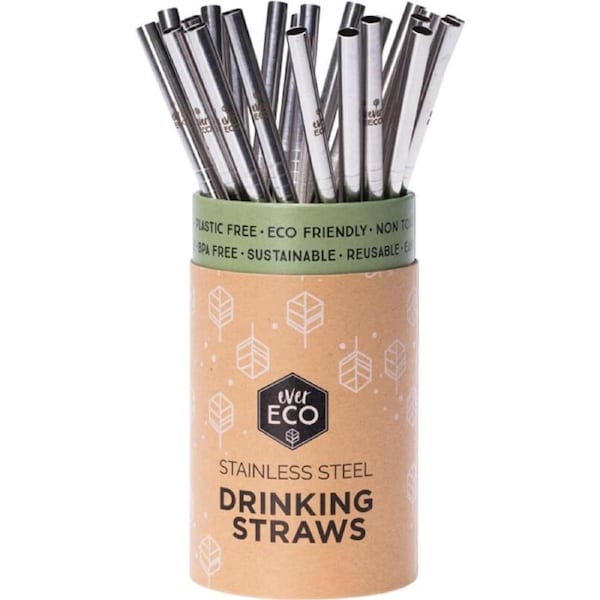 Ever Eco Stainless Streel Straight Straw Single
