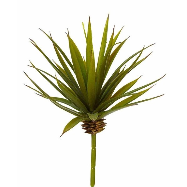 Rogue Needle Agave Green 15x20cm