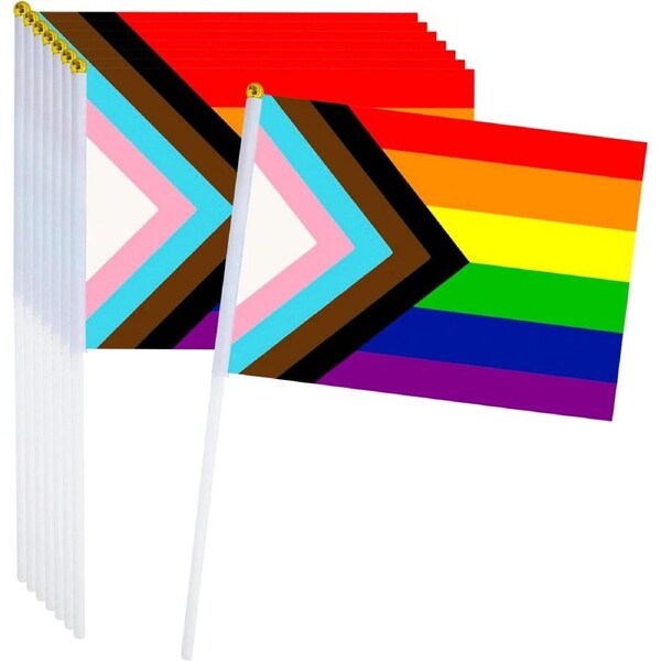 Rainbow Progress Pride Flags 21.5cm (Pack of 8)