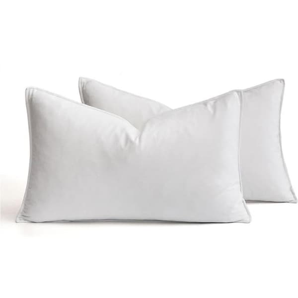 Catzon 2 Pcs Decorative Velvet Throw Pillow Covers Soild for Home Car-White
