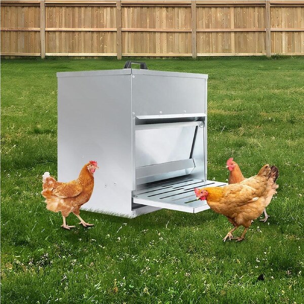 10kg PaWz Automatic Chicken Bird Food Dispenser Steel