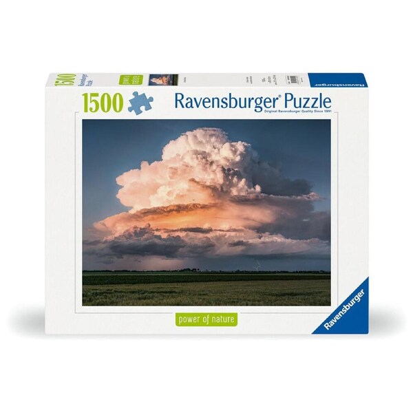 1500pc Ravensburger WT Power Of Nature 3 Jigsaw Puzzle Game Teens/Family