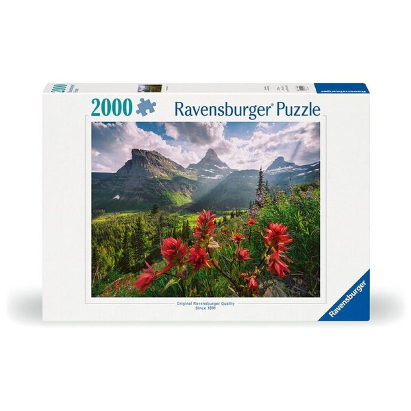 2000pc Ravensburger WT Landscape Jigsaw Puzzle Brain Game Teens/Family 14y+