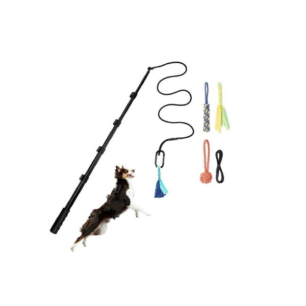 Dog Extendable Teaser Wand Pet Flirt Stick Pole Puppy Chasing Tail Interactive Toy