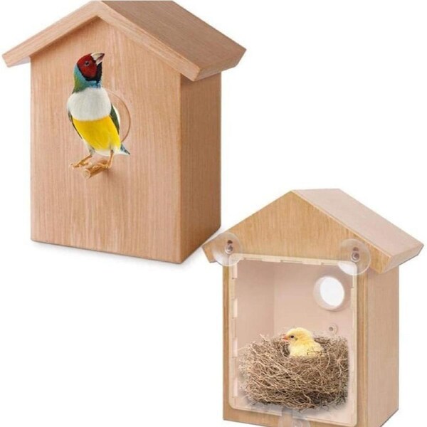 Window&nbsp;Bird&nbsp;Feeder&nbsp;with&nbsp;Scution&nbsp;Cups&nbsp;for&nbsp;Viewing&nbsp;Bird&nbsp;House