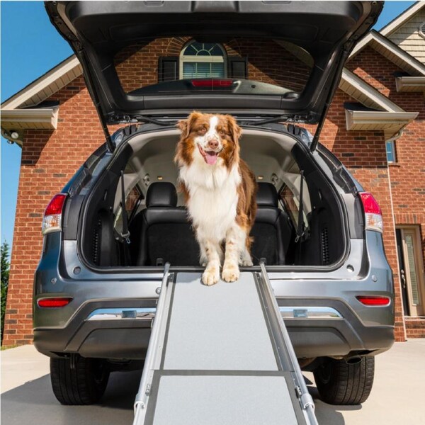 PetSafe® Happy Ride™ Deluxe Telescoping Ramp PTV17-16898