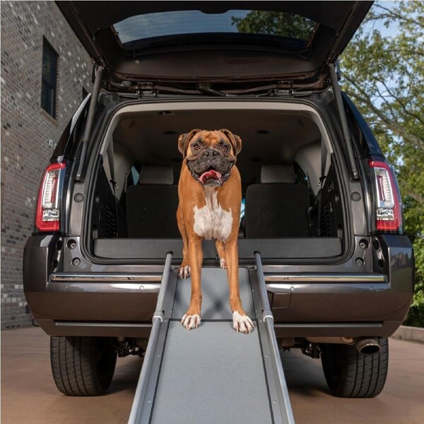 PetSafe® Happy Ride Compact Telescoping Dog Ramp PTV17-16878