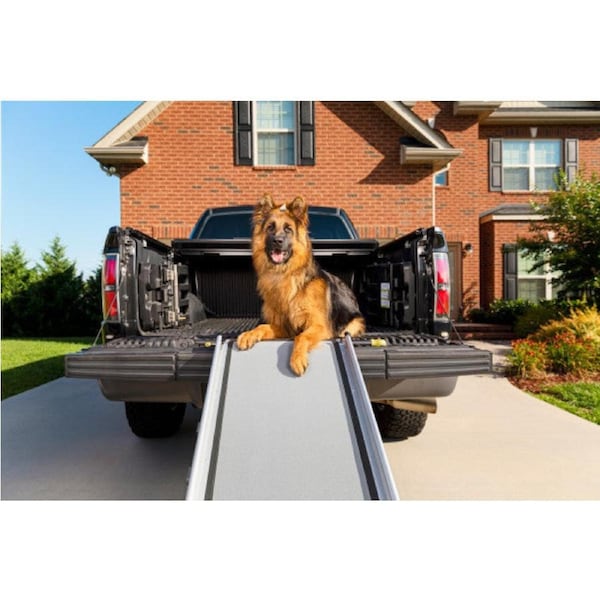 PetSafe® Happy Ride Deluxe Telescoping Ramp XL PTV17-16899
