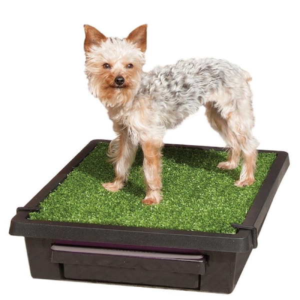 PetSafe(R) Pet Loo(R) Pet Toilet - Small PWM00-14497