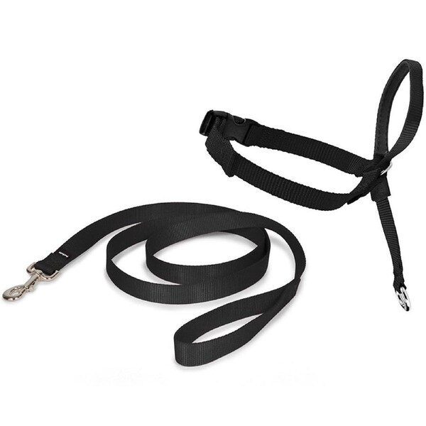 PetSafe® Easy Walk Headcollar - Large Black EW-HC-L-BK-17