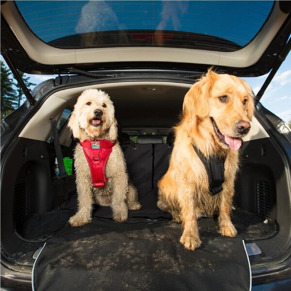 Kurgo® Rover Cargo Cape - Black POG30-17676