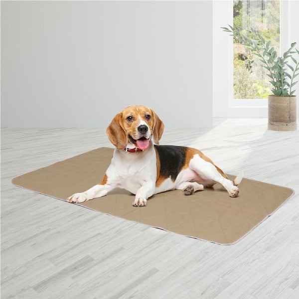 Pawz 2x Washable Dog Puppy Training Pad Pee Puppy Reusable Cushion L Cream