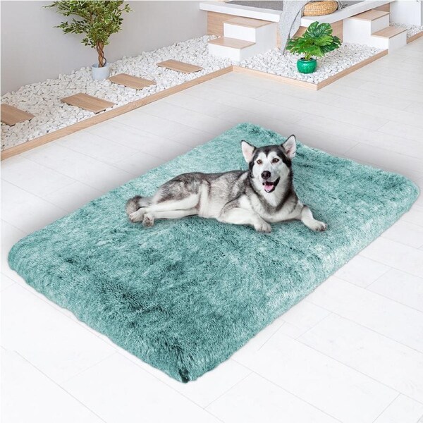 Pawz Pet Calming Bed Memory Foam Orthopedic Removable Cover Washable XXL Teal