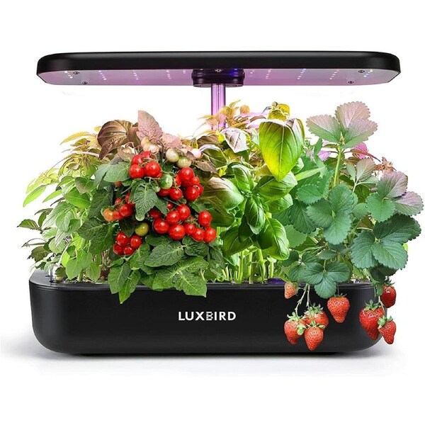 Hydroponics Growing System INDOOR Seed Germination Kit Intelligent Light Control