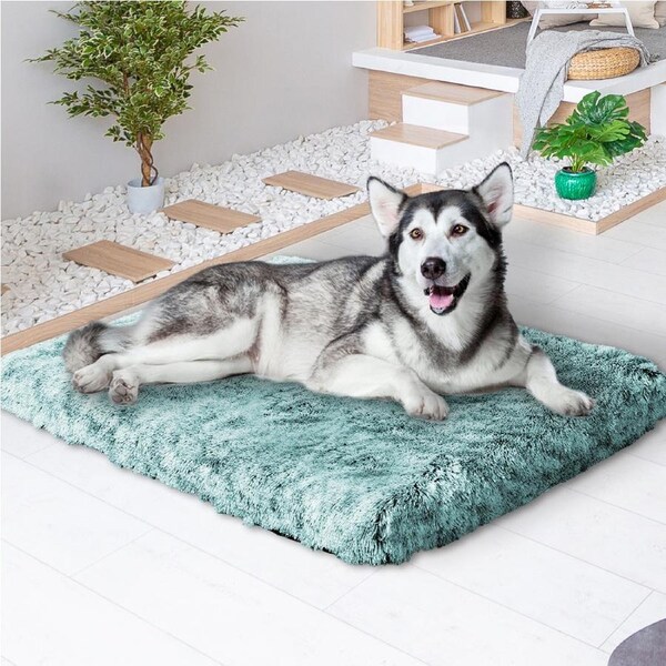 Pawz Pet Calming Bed Memory Foam Orthopedic Removable Cover Washable XL Teal