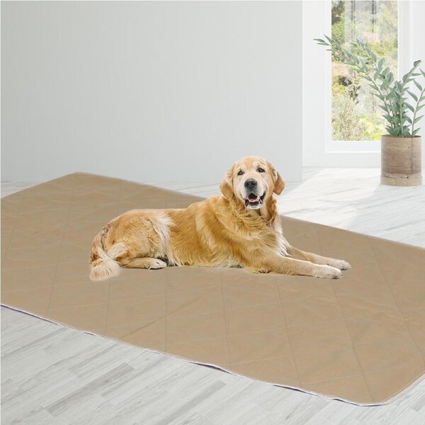 Pawz 2x Washable Dog Puppy Training Pad Pee Puppy Reusable Cushion King Cream