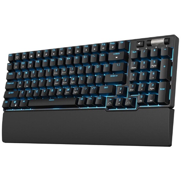 RK ROYAL KLUDGE RK96 90% 96 Keys BT5.0/2.4G/USB-C Hot Swappable Mechanical Keyboard with Magnetic Hand Rest, Blue Backlight, Red Switch, Black Color