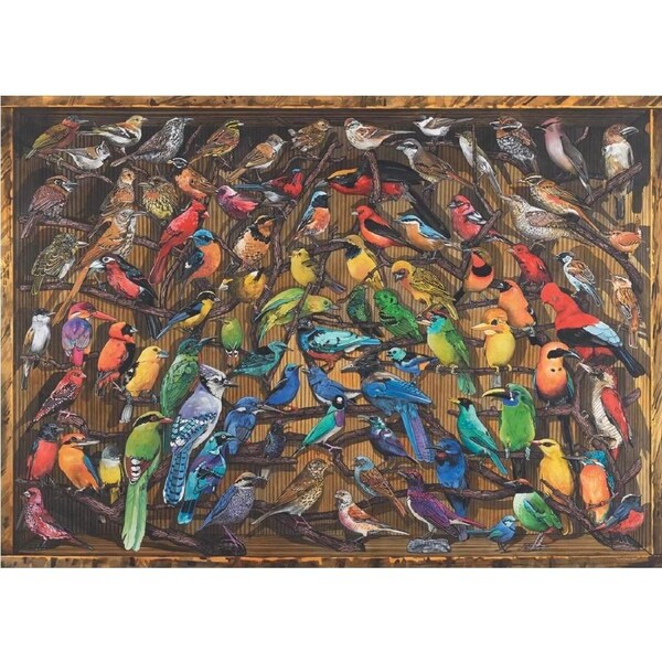 Ravensburger - Rainbow of Birds Puzzle 1000pc