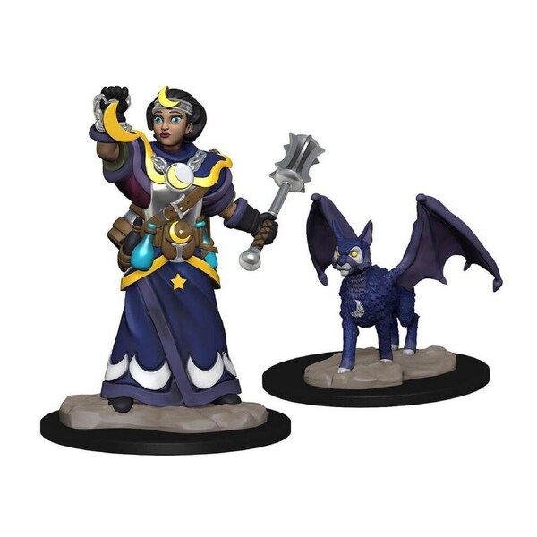 Wardlings Girl Cleric & Winged Cat Pre-Painted Miniatures 8y+