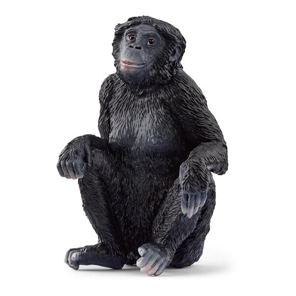 Schleich Kids/Childrens Toy Play Action Replica Figurine Bonobo Female 3y+