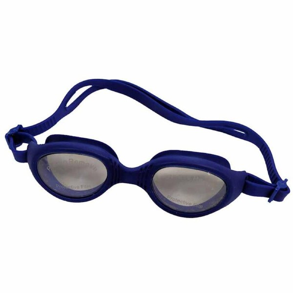 Goggle Dante Clear / Blue
