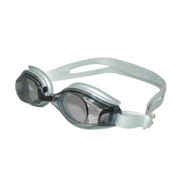 Goggle Qua Smoke / Silver