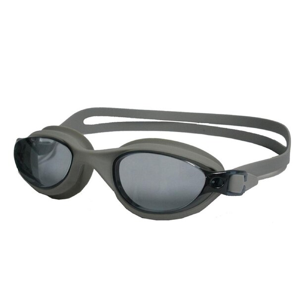 Goggle Dyfri Smoke / Silver