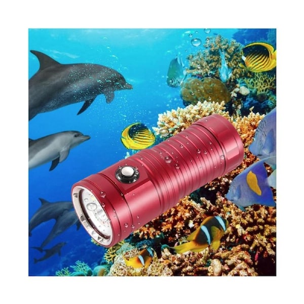 365nm Mini UV Flashlight Black Light USB Rechargeable LED Blacklight Pet Urine Detector for Dog Cat Urine Dry Stains