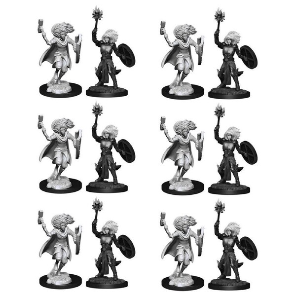 6x 2pc Dungeons & Dragons Nolzur's Marvelous UNP Miniature Changeling Cleric M